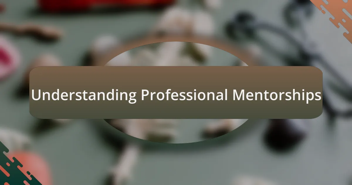 Understanding Professional Mentorships